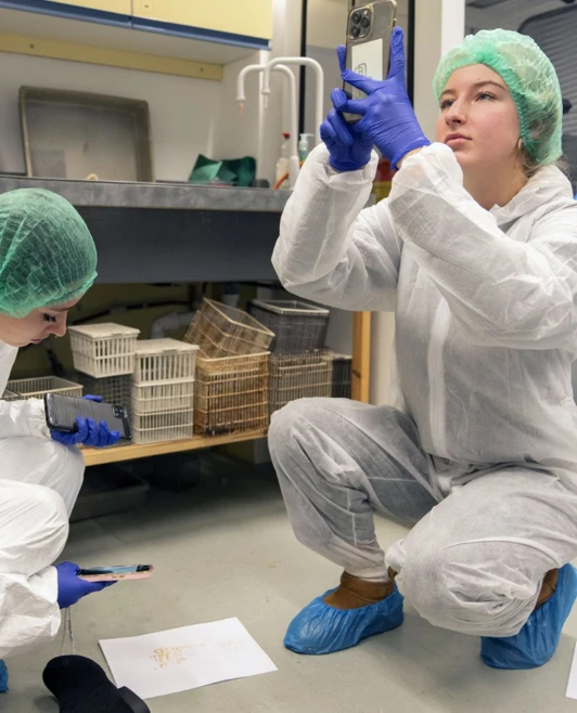 Students photograph and examine evidence on the lab floor during a hands-on forensic science class. Students photograph and examine evidence on the lab floor during a hands-on forensic science class.